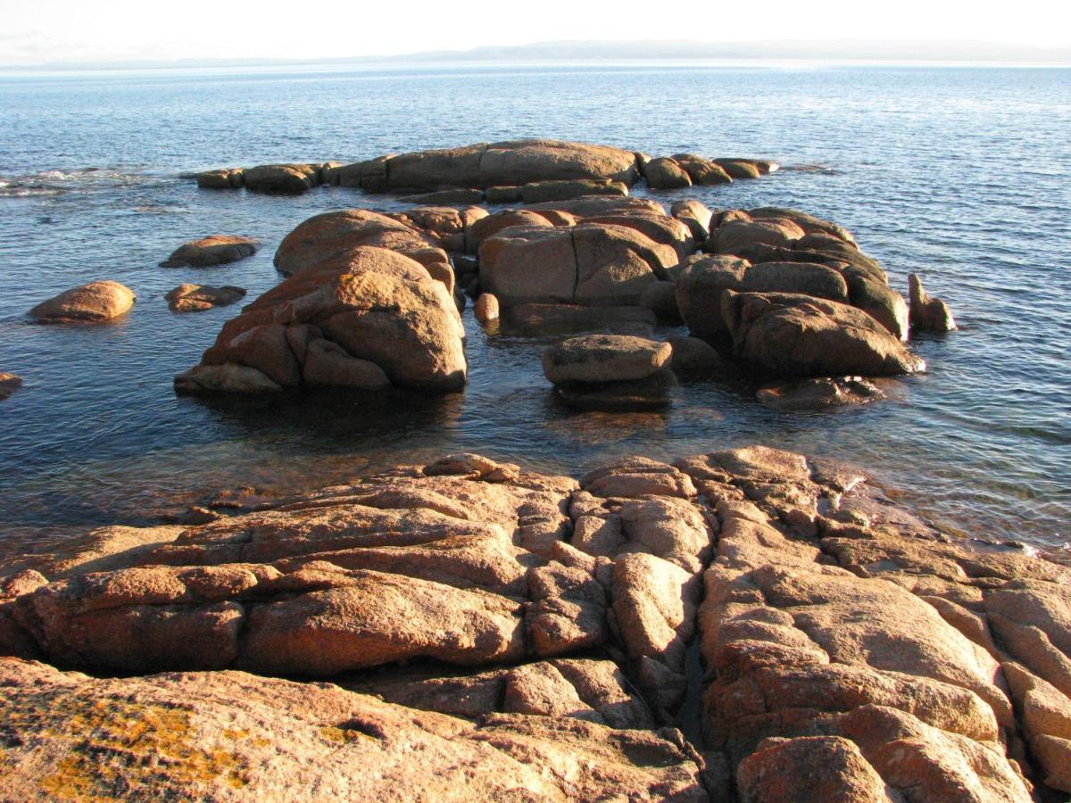 Pebble Shack Coles Bay Exterior foto